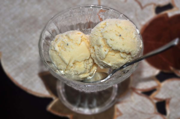 Indian Ice Cream (Ice Cream Maker) – Culinary Shades