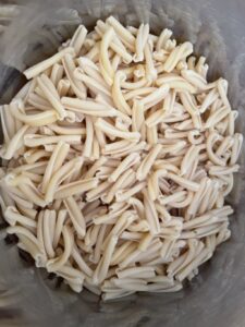 Penni pasta for baked pasta.