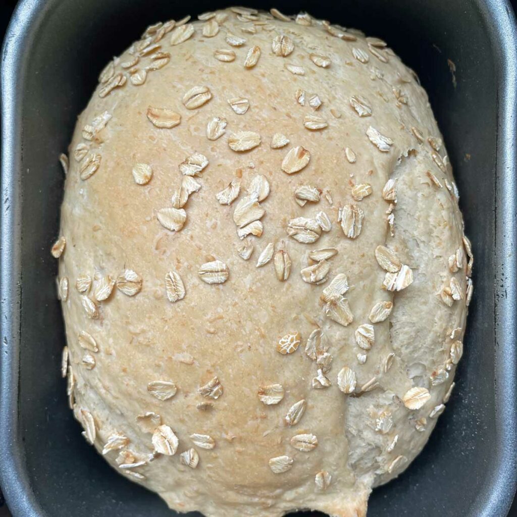 Bread Machine Oatmeal Bread - Culinary Shades