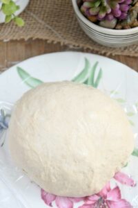 Frozen-Pizza-Dough-v2