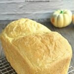Homemade butternut squash bread baked fresh, ideal for fall recipes and cozy meals.
