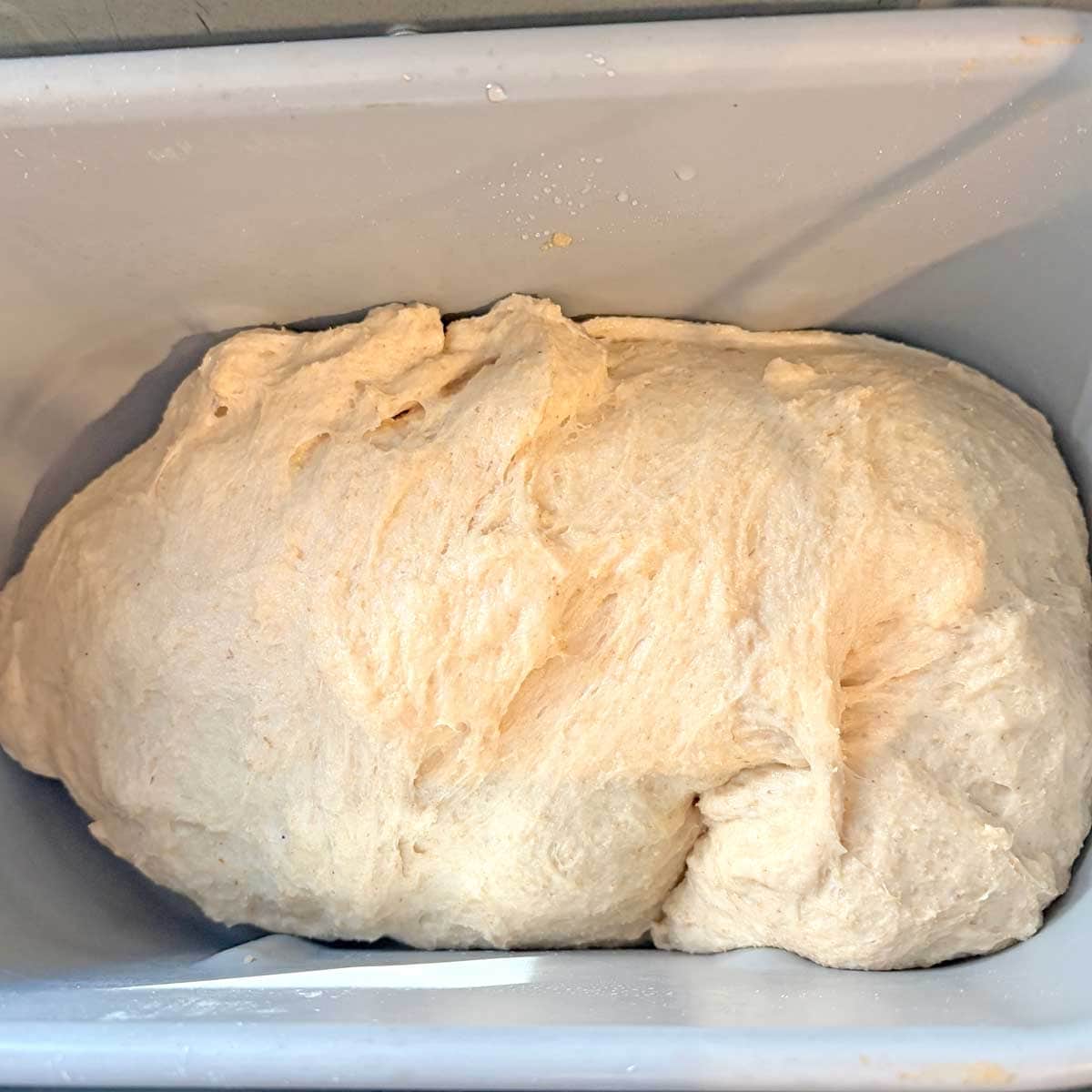 FMF Dinner Rolls dough making.