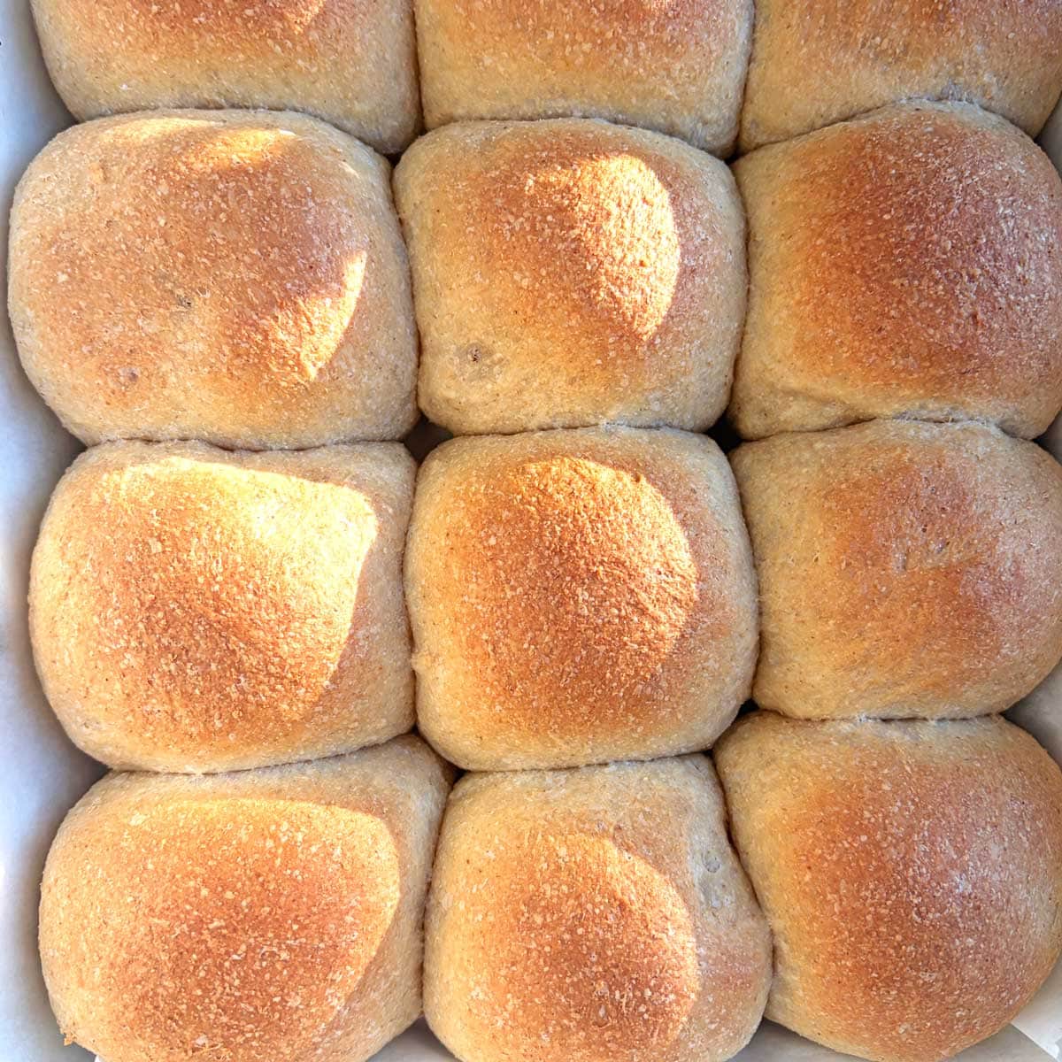 FMF Dinner Rolls baked.
