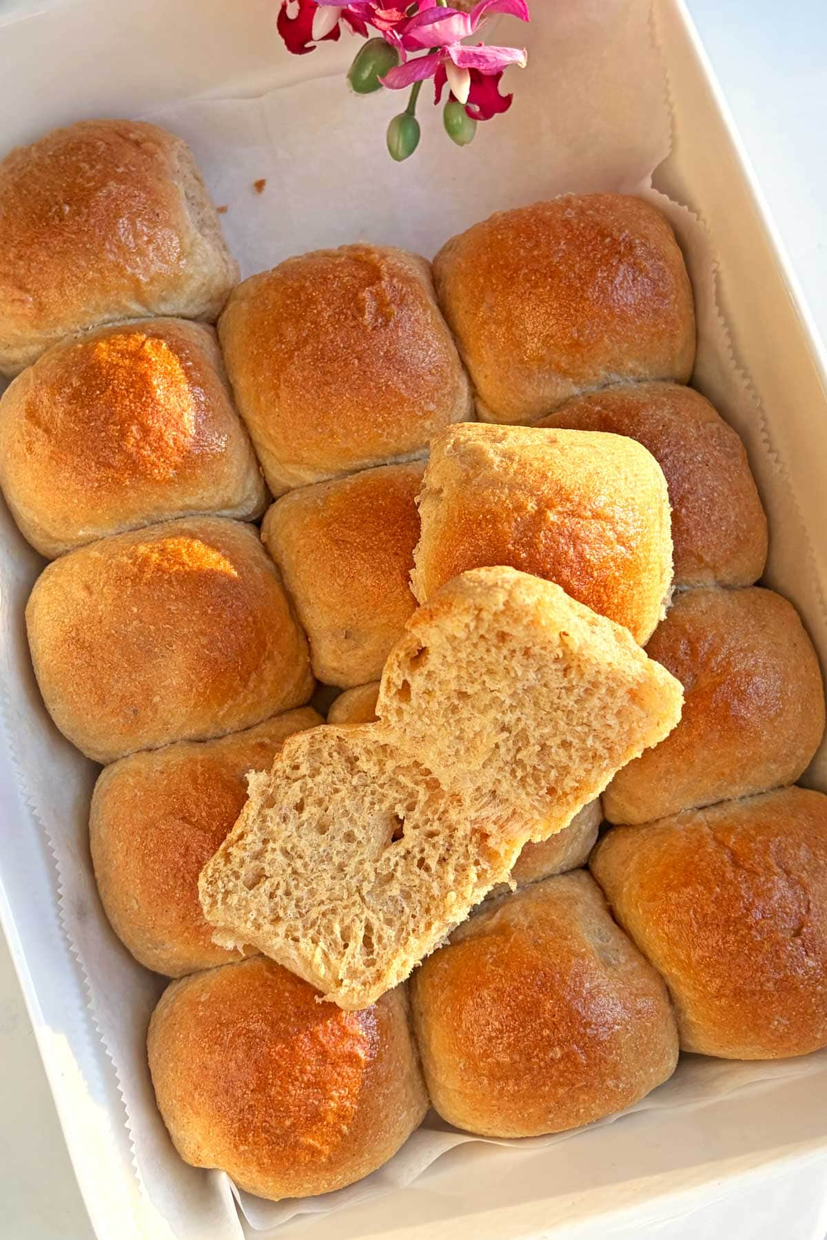 FMF Dinner Rolls in a tray.