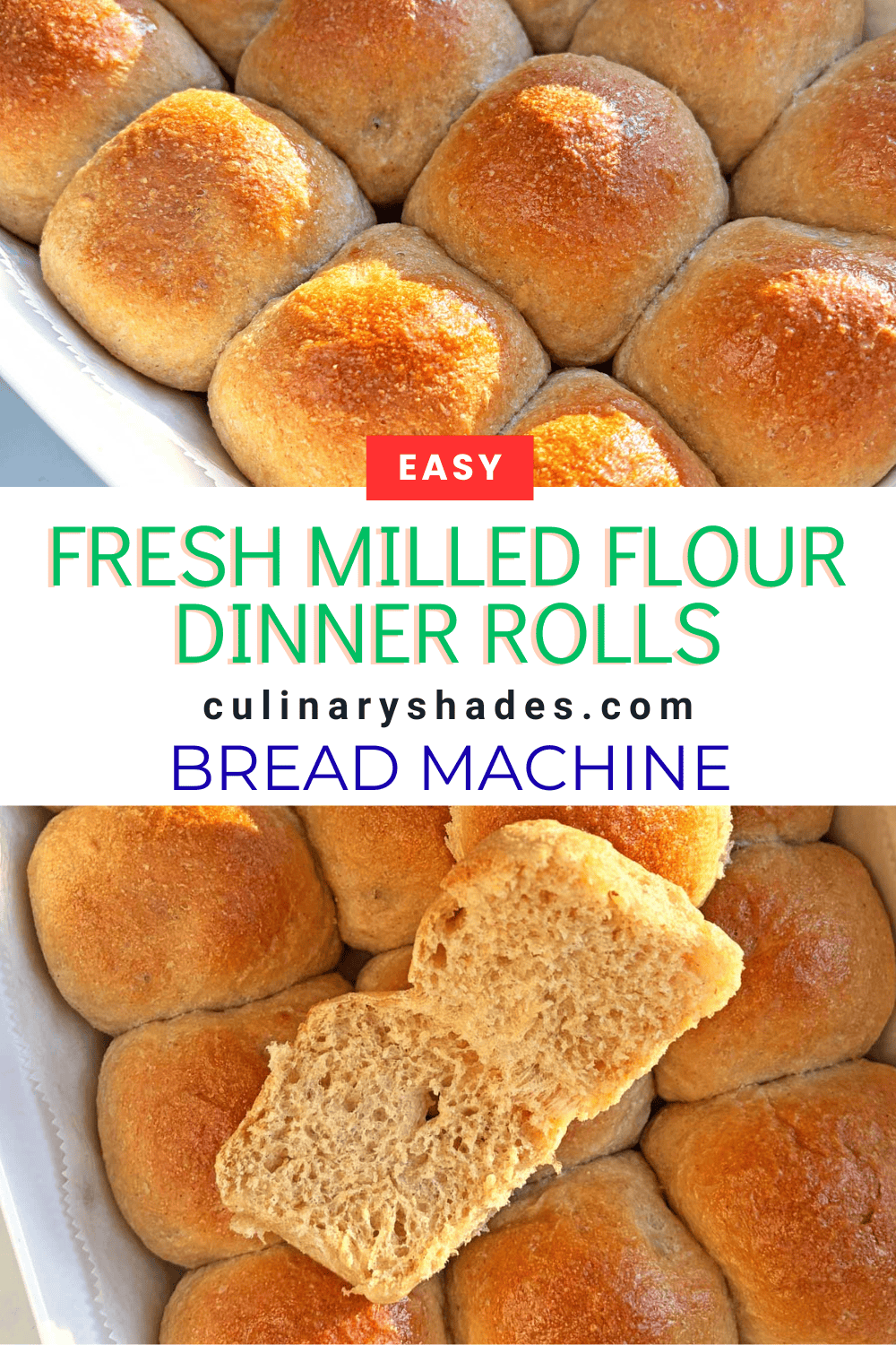 FMF Dinner Rolls in a tray.