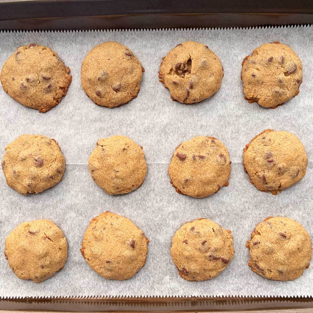Baked FMF Chocolate Chip cookies in a baking tray.