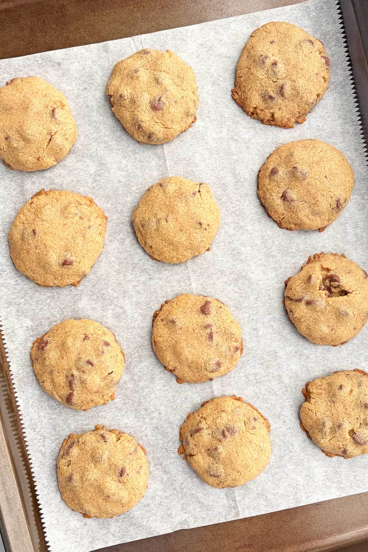FMF Chocolate Chip Cookies in a baking tray.