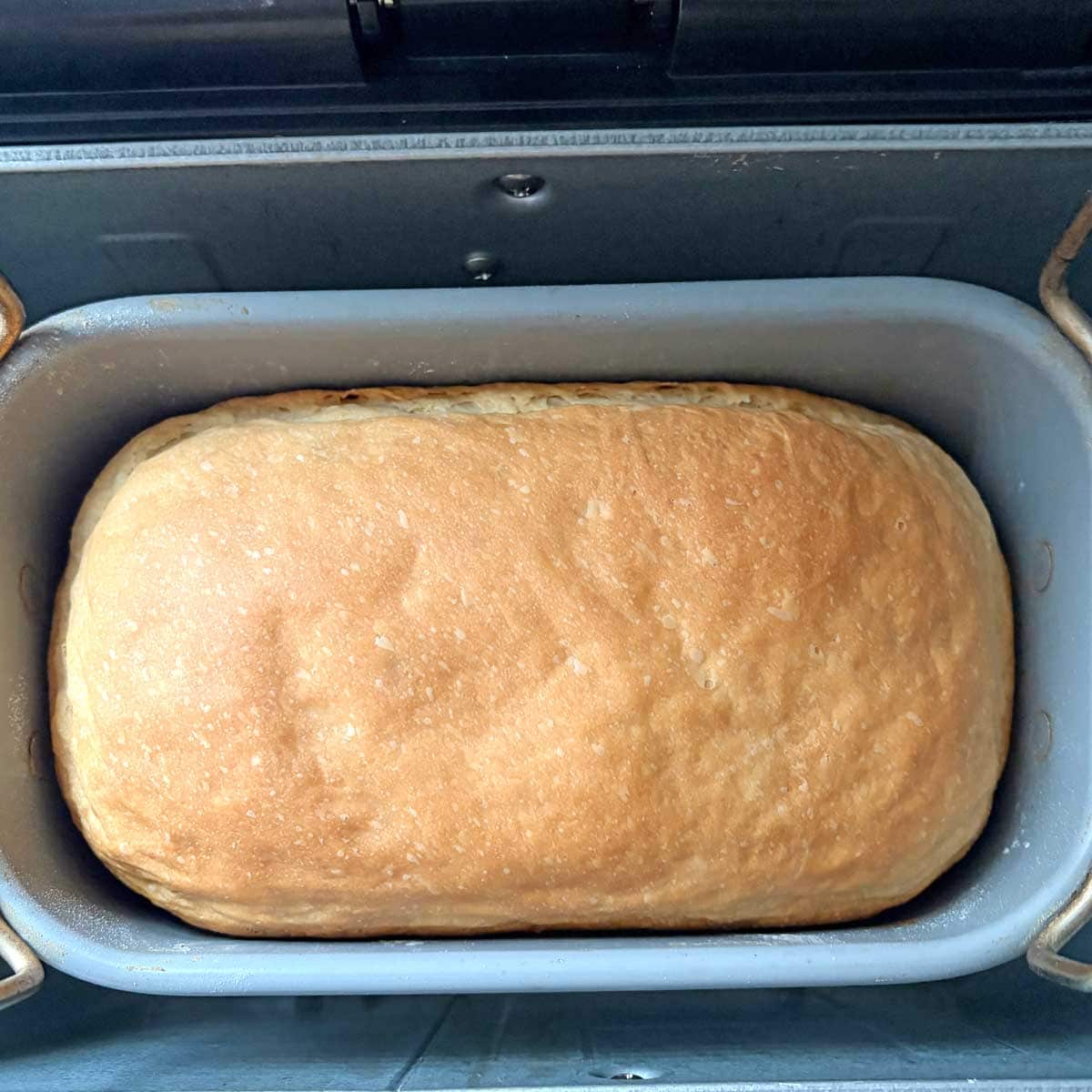 Greek Yogurt Bread in bread machine pan.