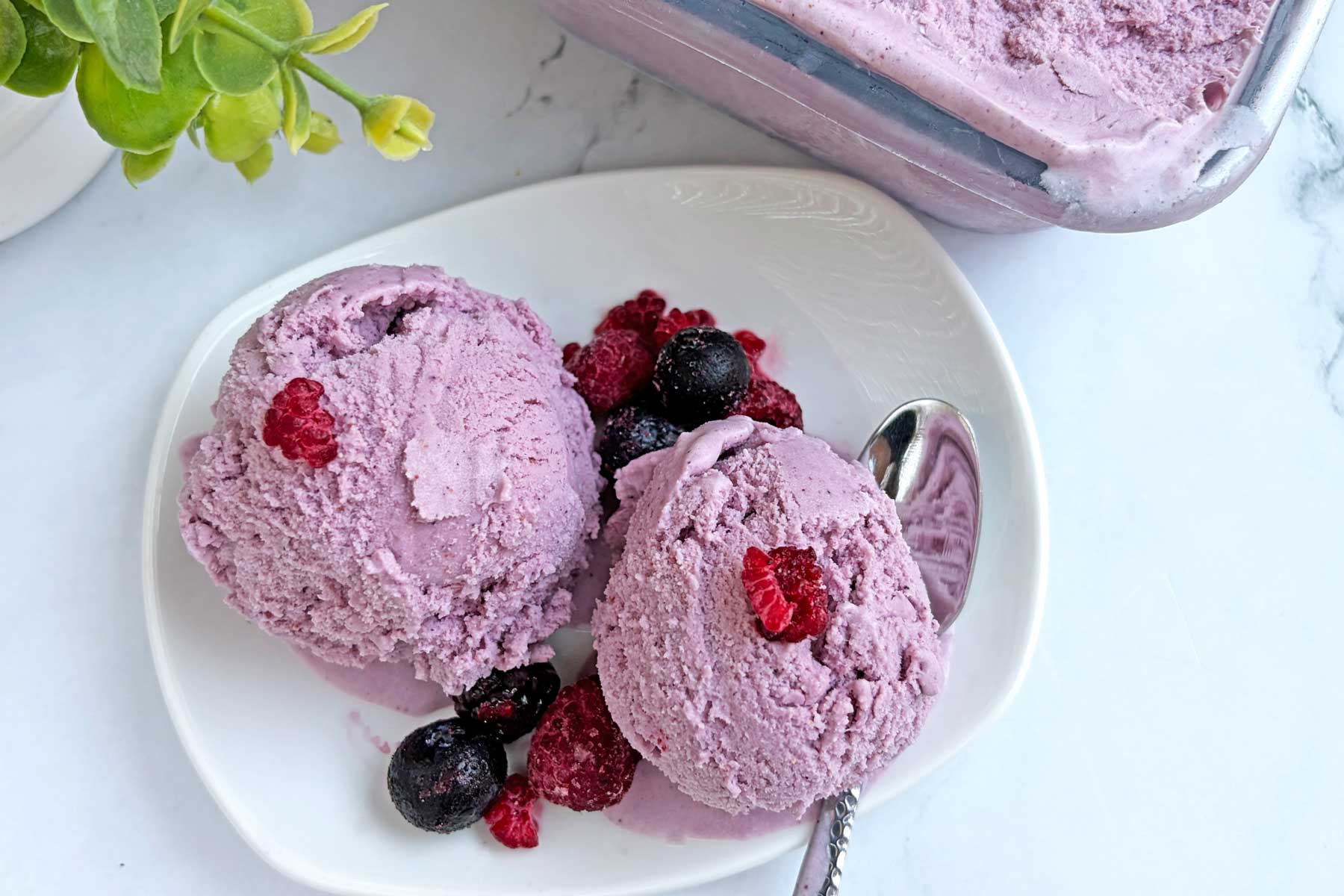 Mixed berry ice cream scoops in a dessert plate.
