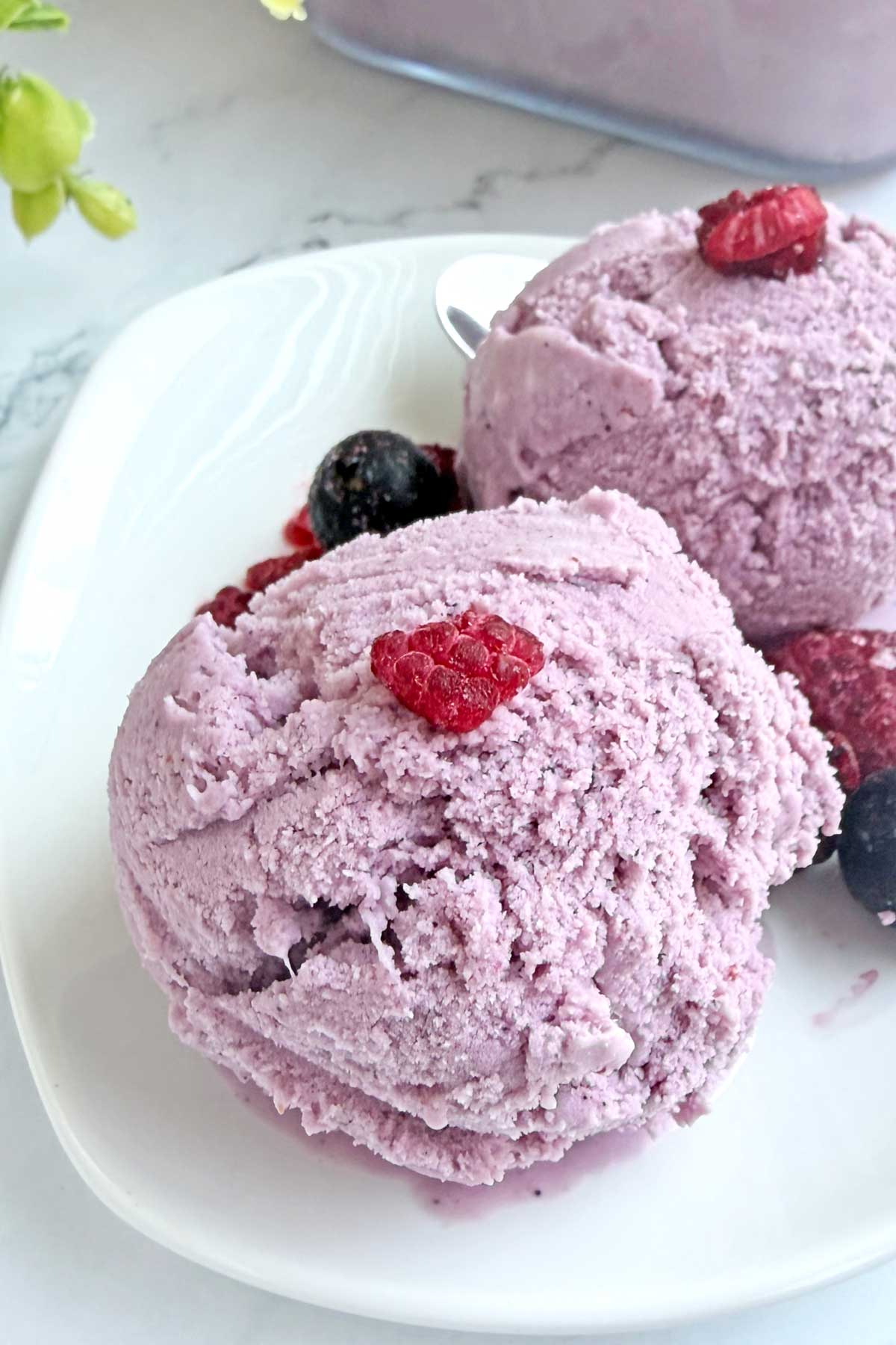Delicious Mixed berry ice cream scoops in a dessert plate.