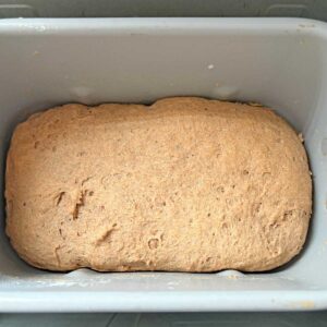 Sprouted wheat flour bread loaf in bread pan.