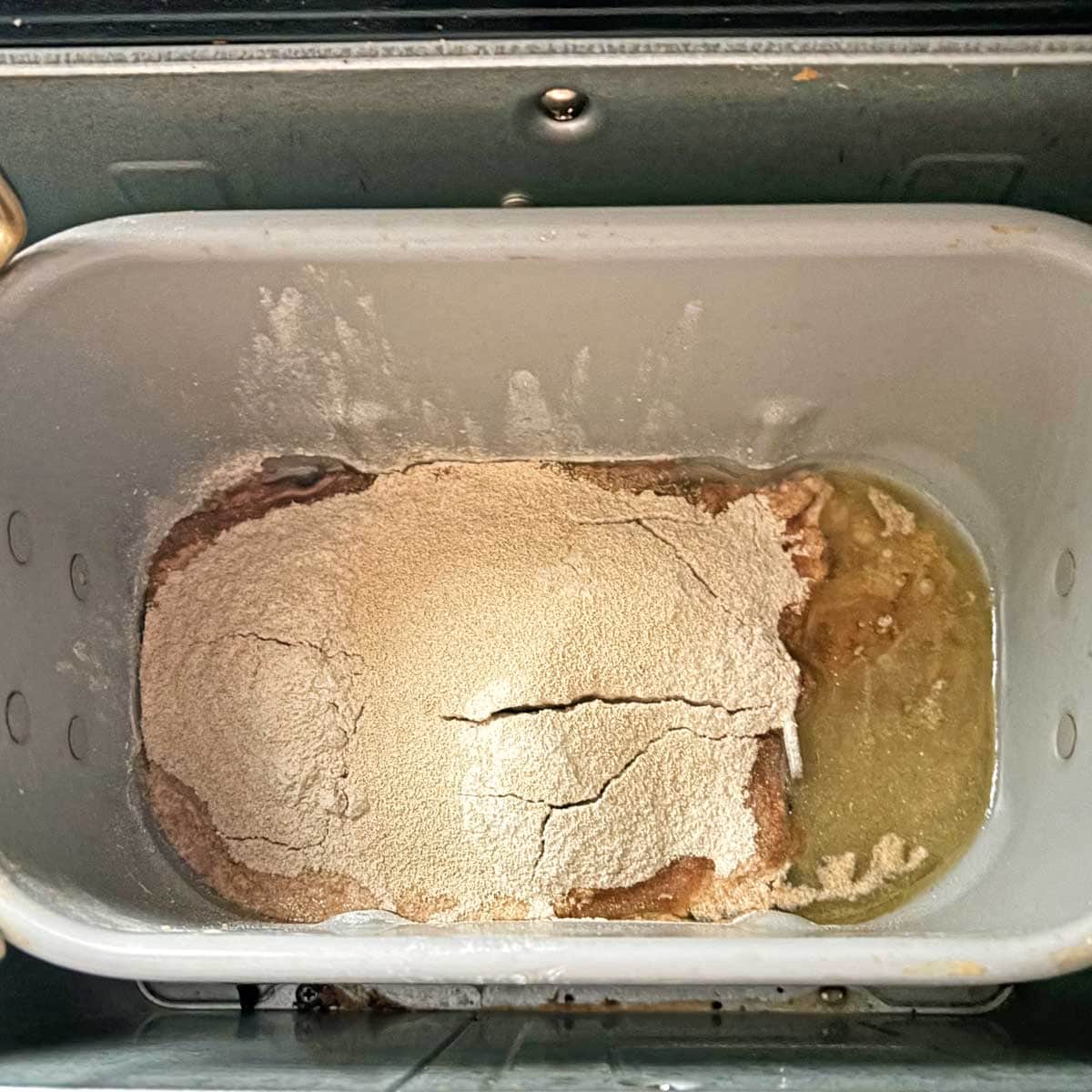 Sprouted wheat flour bread ingrdients in bread pan.