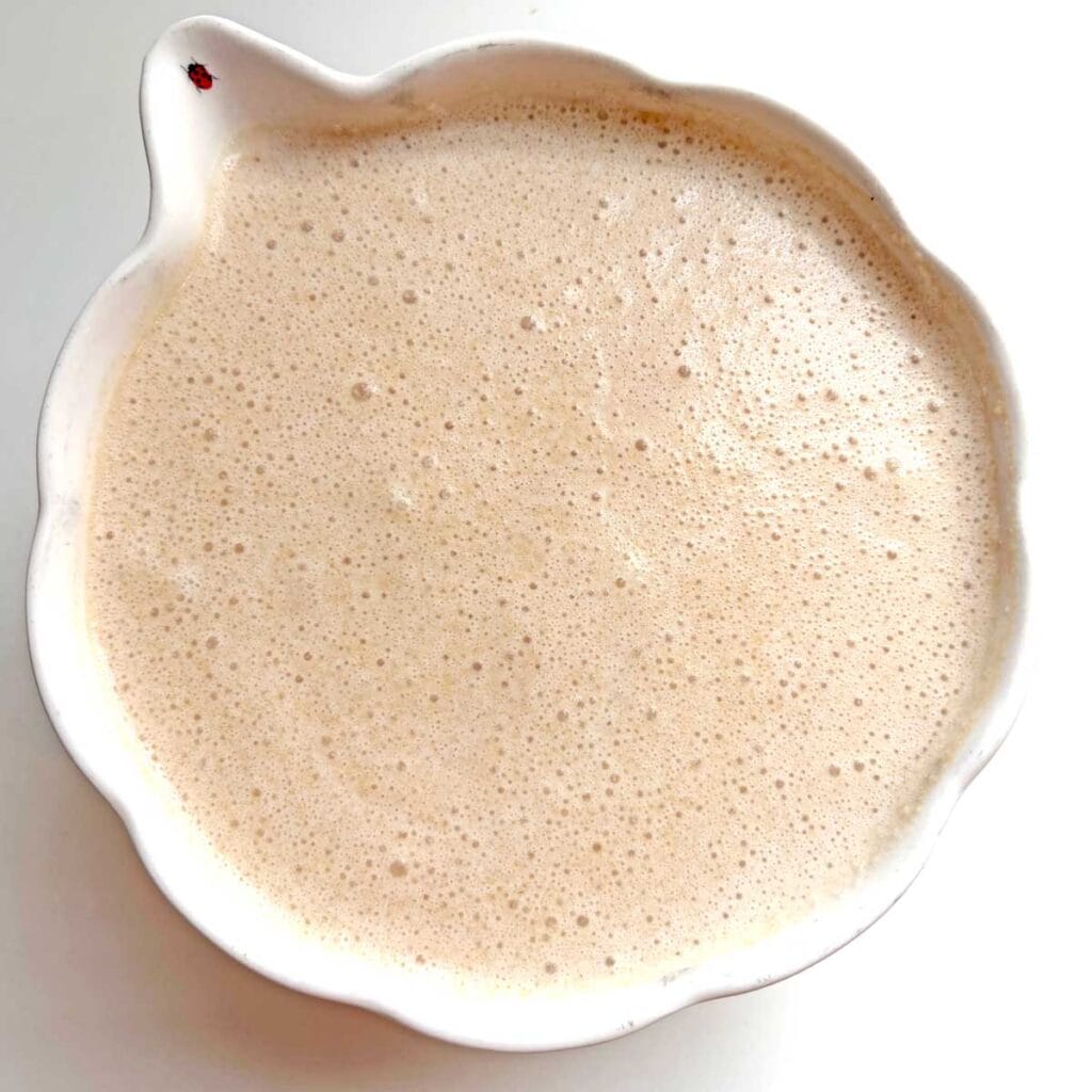 Chikoo ice cream mix in a bowl.
