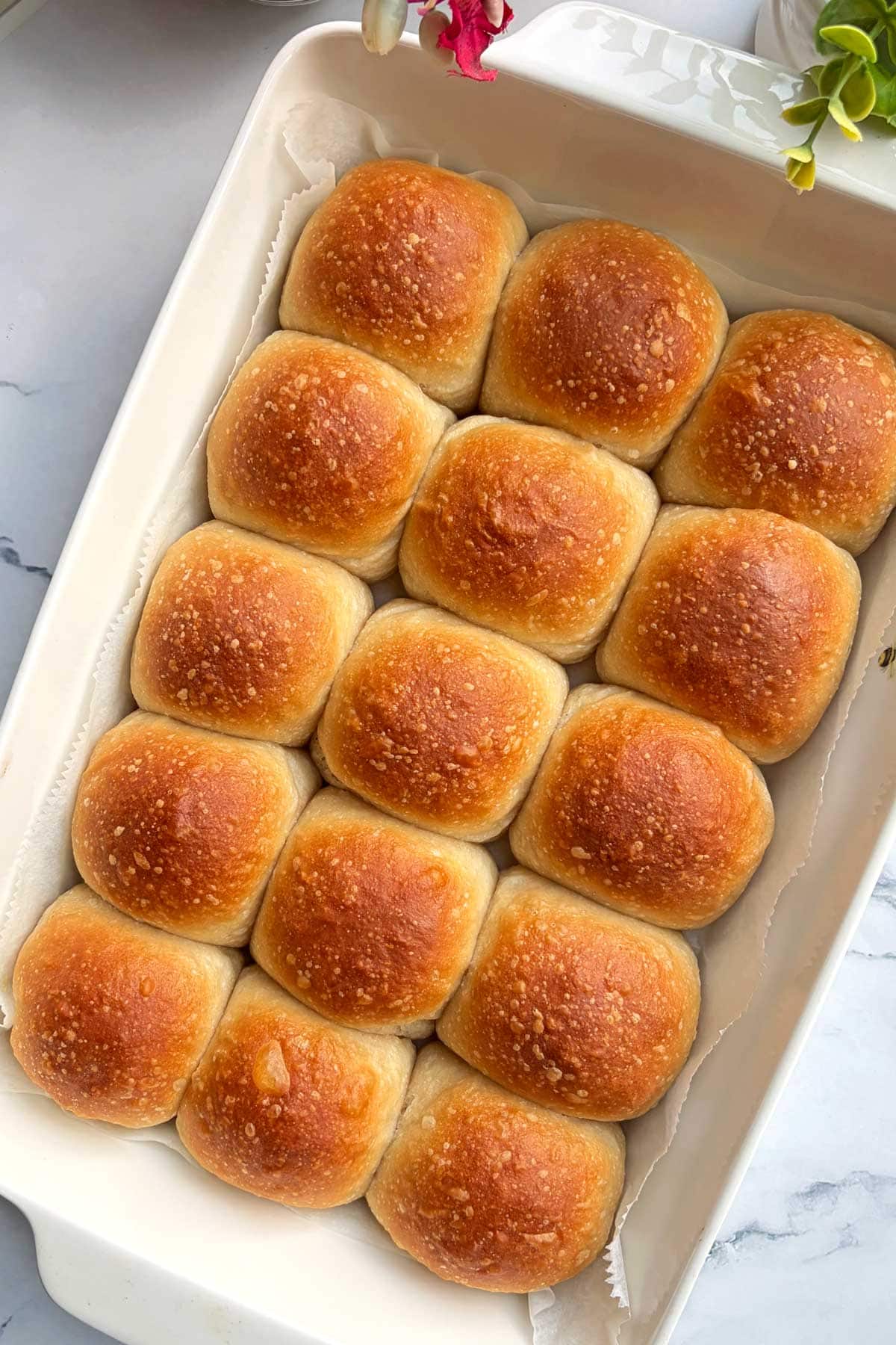 Sourdough dinner rolls in a baking tray.