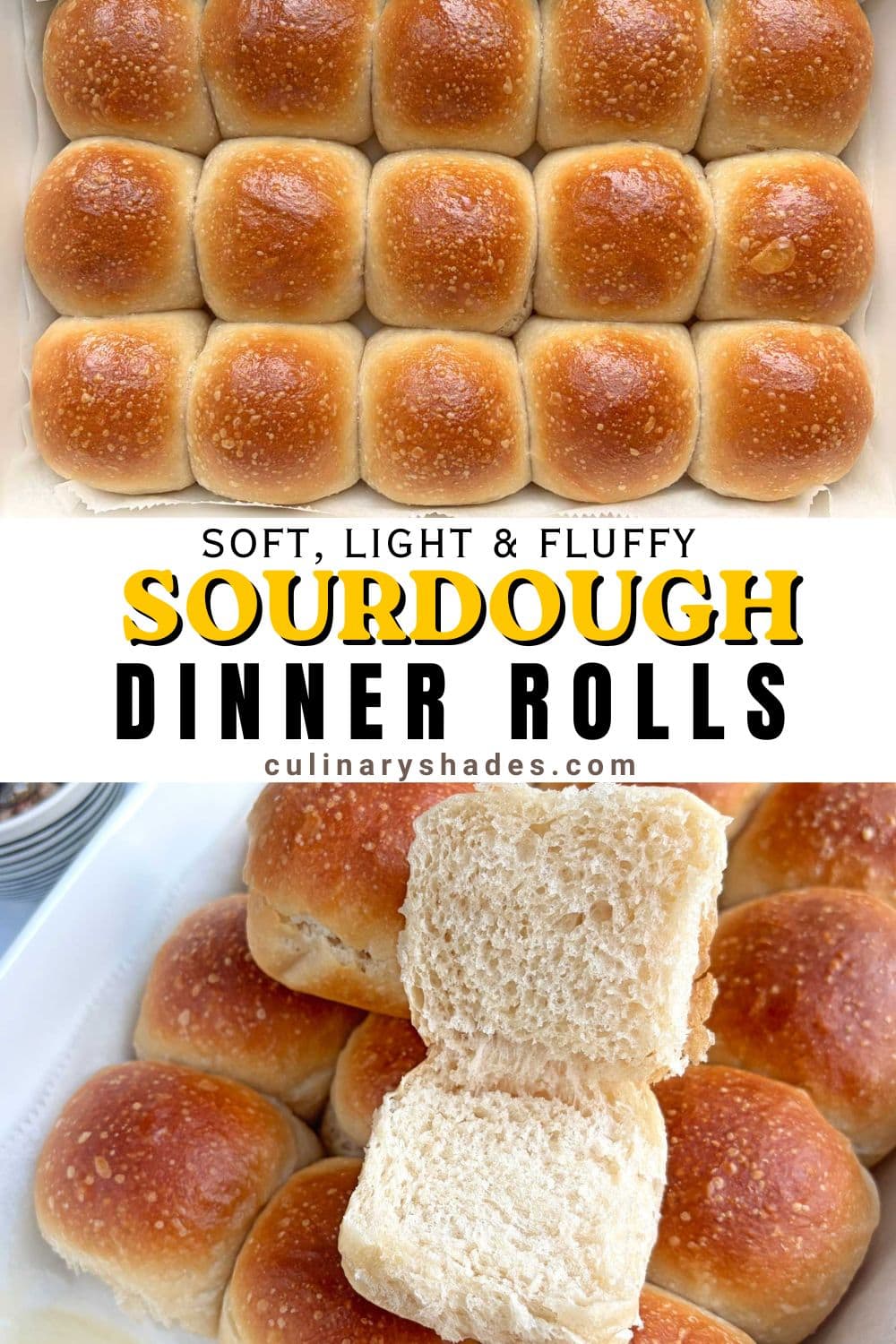 Sourdough dinner rolls in a baking tray.